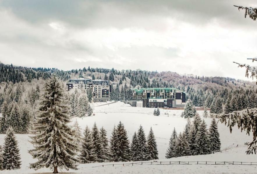 Charming 3-Bedroom Apartment Poiana Brasov Εξωτερικό φωτογραφία